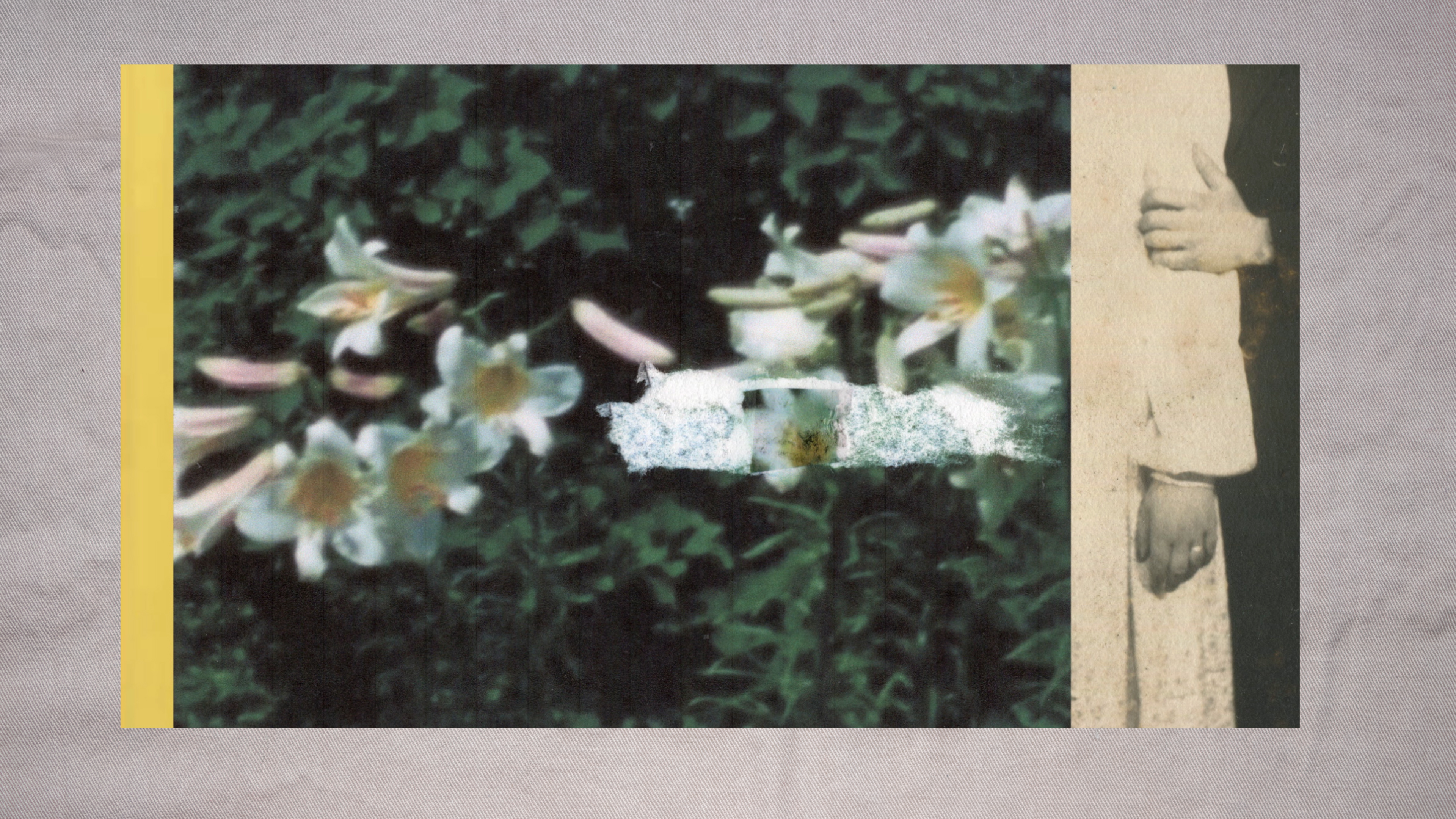 Between Delicate and Violent